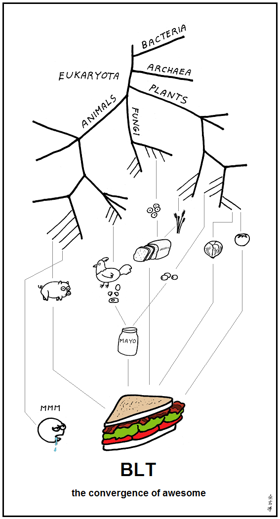 Abstruse Goose 14.2.2011