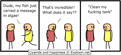 Cyanide & Happiness 12.7.2007