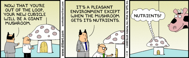 Dilbert 15.1.2008