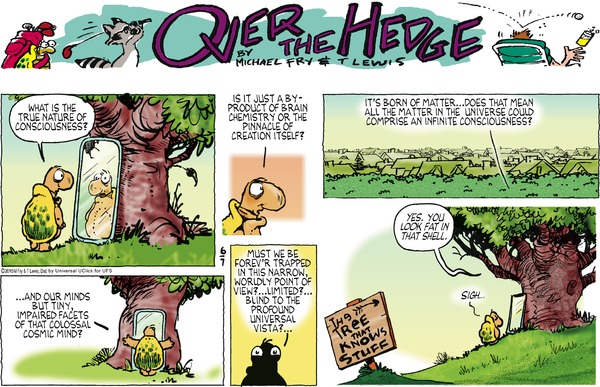 Over the Hedge 7.6.2015