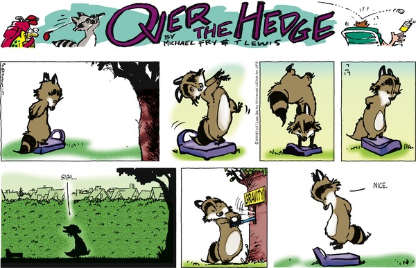 Over the Hedge 17.7.2016