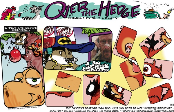 Over the Hedge 8.9.2013