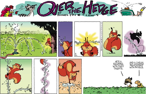 Over the Hedge 22.6.2014