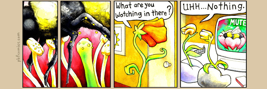 The Perry Bible Fellowship 17.11.2007