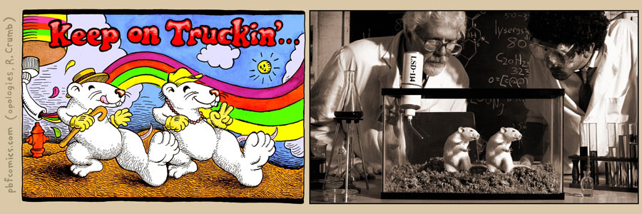 The Perry Bible Fellowship 17.11.2007