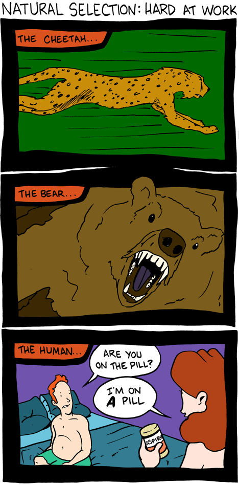 Saturday Morning Breakfast Cereal 18.8.2008