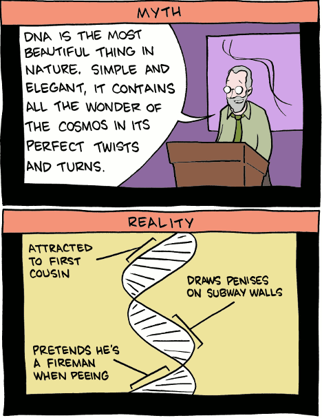 Saturday Morning Breakfast Cereal 13.5.2009