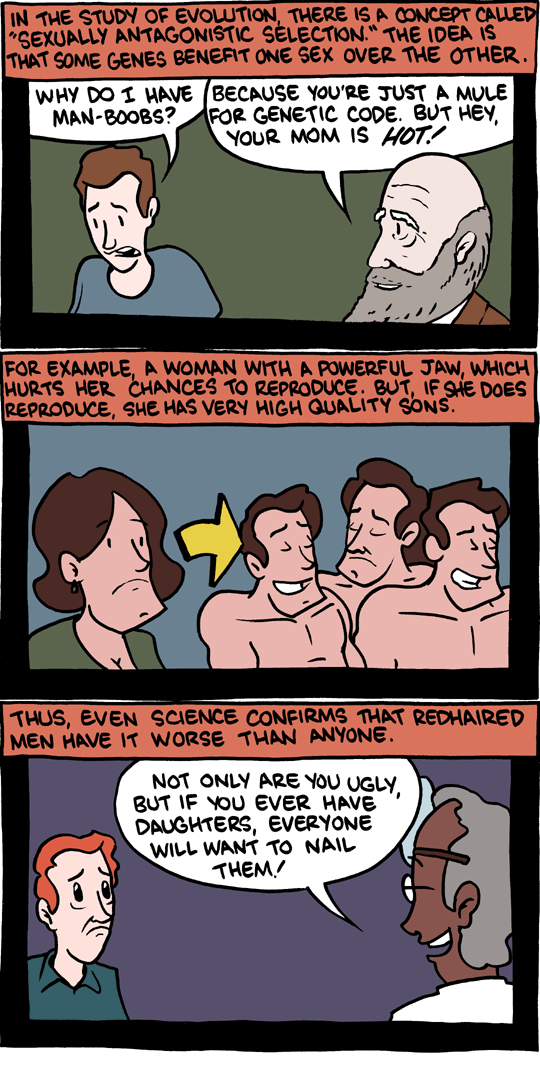 Saturday Morning Breakfast Cereal 26.12.2010