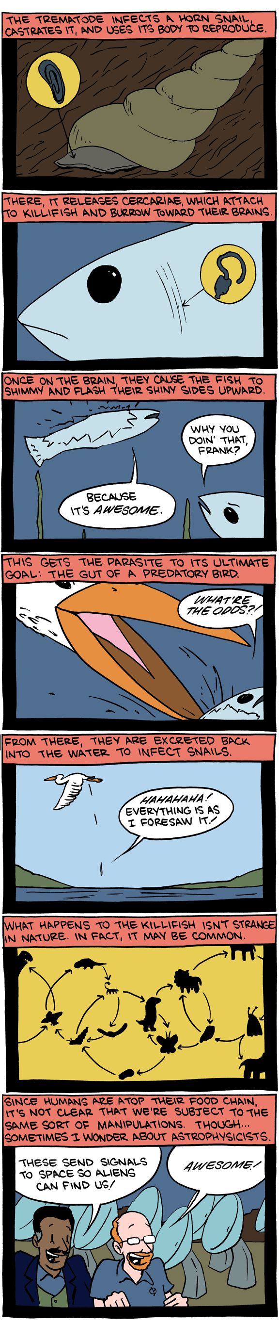 Saturday Morning Breakfast Cereal 8.8.2011