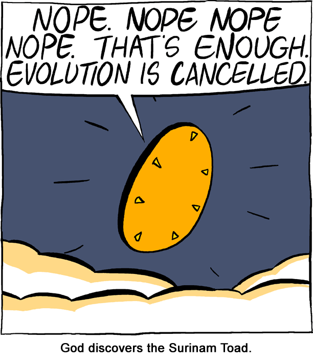 Saturday Morning Breakfast Cereal 13.5.2013