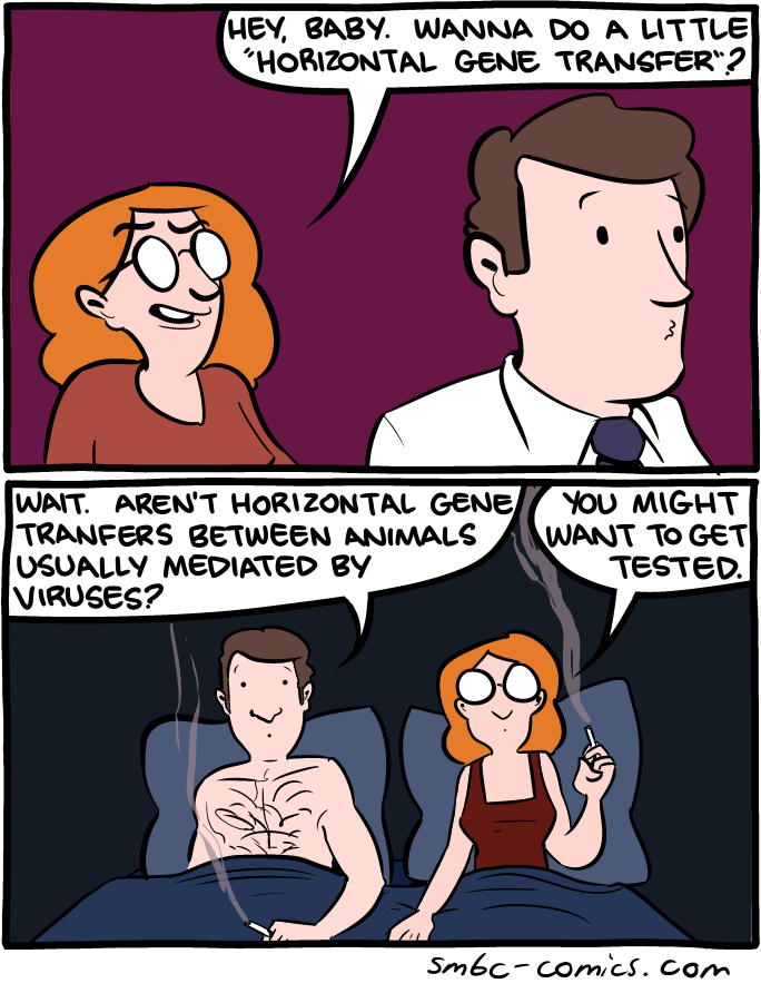 Saturday Morning Breakfast Cereal 25.5.2014