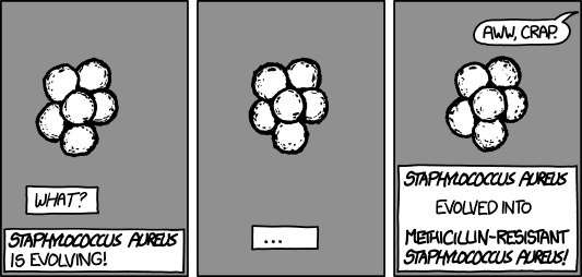 xkcd 14.12.2012