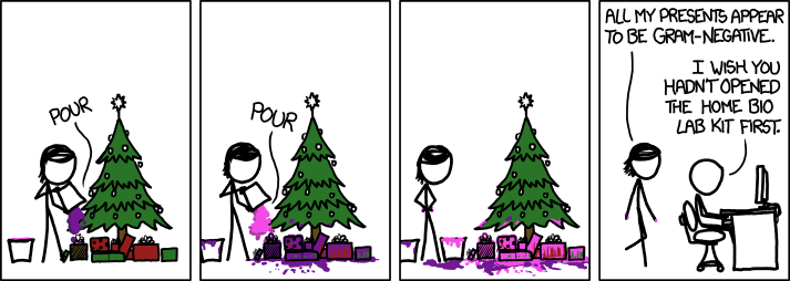 xkcd 24.12.2012