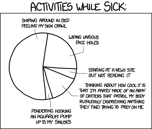 xkcd 7.1.2013