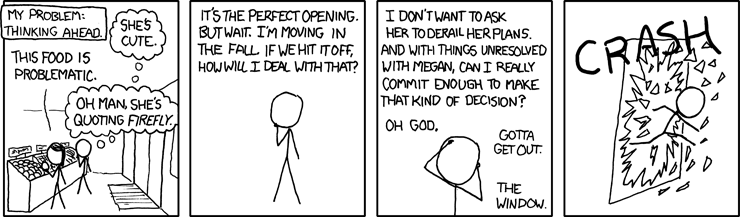 xkcd 20.6.2008