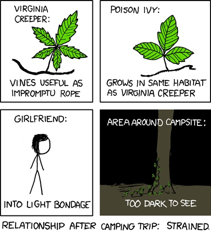 xkcd 30.6.2008