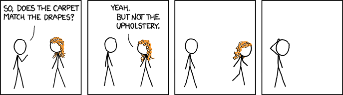 xkcd 24.11.2008