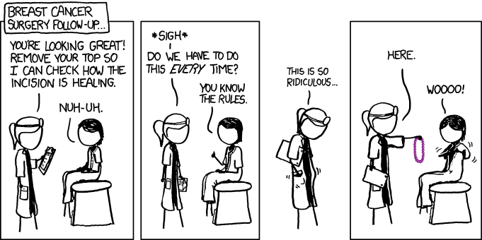 xkcd 28.12.2011